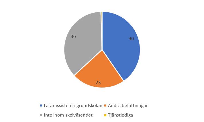 Cirkeldiagram som visar andelen lärarassistenter i grundskolan läsåret 2018/19 efter inrapporterad tjänst läsåret 2017/18.