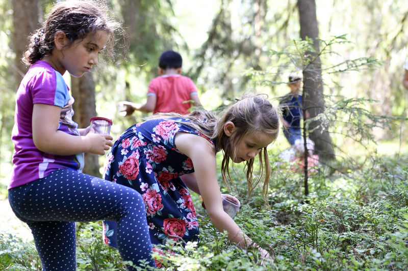 Barn som letar småkryp i skogen