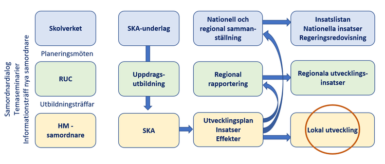 Samordnarinsatsens organisation på nationell, regional och lokal nivå.
