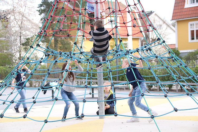 Fem barn som leker på en klätterställning. Foto.