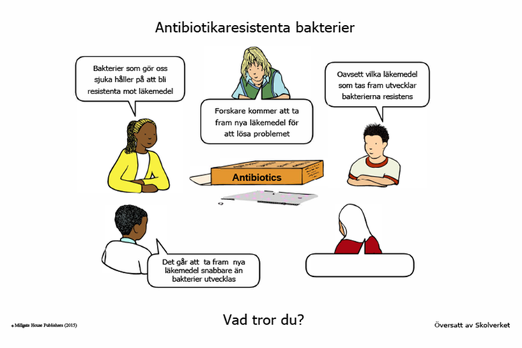 Eleverna på bilden diskuterar antibiotikaresistenta bakterier.